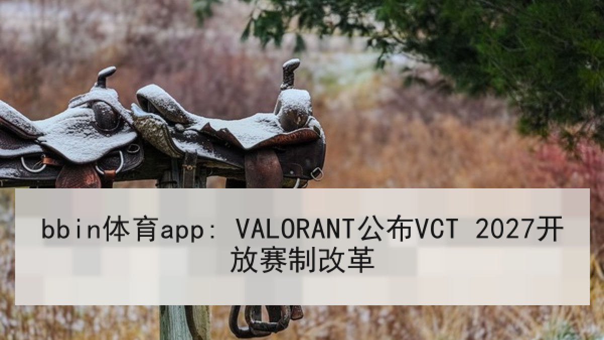 bbin体育app: VALORANT公布VCT 2027开放赛制改革