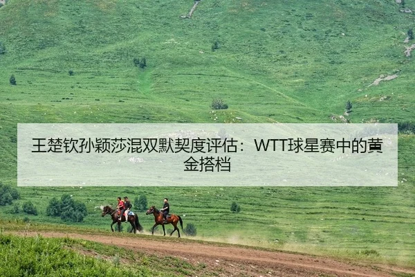 王楚钦孙颖莎混双默契度评估：WTT球星赛中的黄金搭档