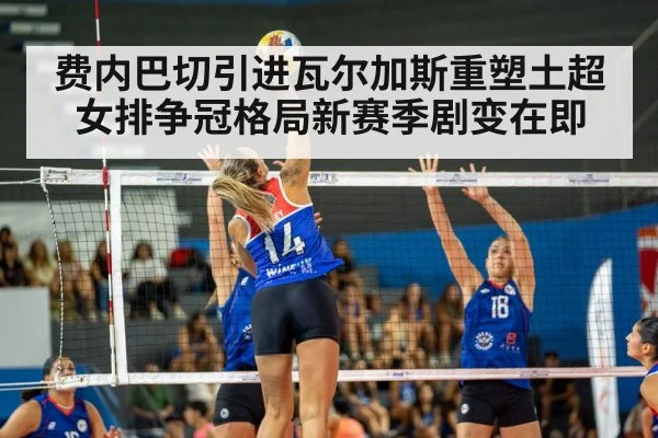 women's volleyball match